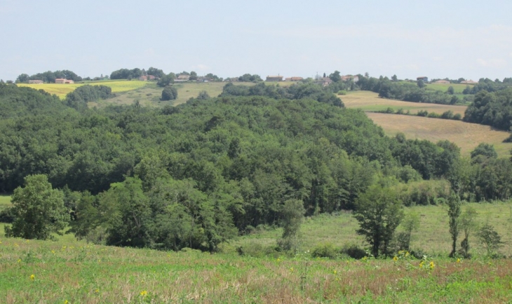 Hameau de Goutz vu de Cocumont.