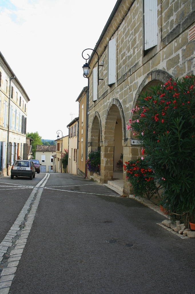 Rue du village - Fauillet