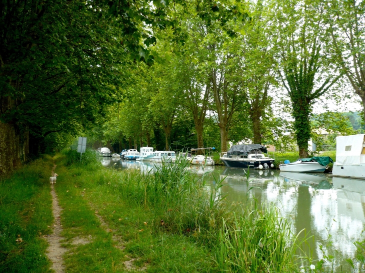 Le Canal du Midi à Pont des Sables. - Fourques-sur-Garonne