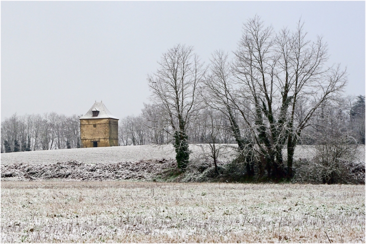 Pigeonnier à St Pierre - Gontaud-de-Nogaret