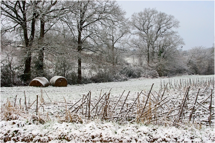 Neige au lieu-dit Pigelle - Gontaud-de-Nogaret