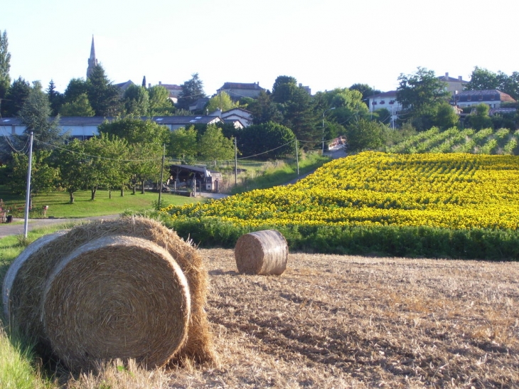 Lévignac - Lévignac-de-Guyenne