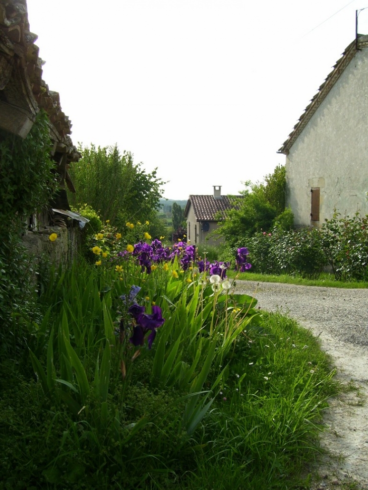 CHEMIN DE RONDE - Lévignac-de-Guyenne