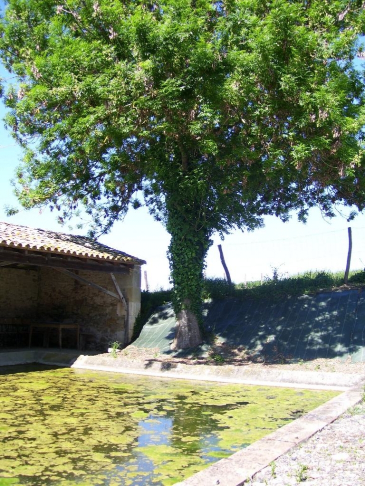 Le lavoir - Lévignac-de-Guyenne