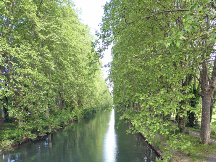 Le canal latéral de la Garonne - Montpouillan