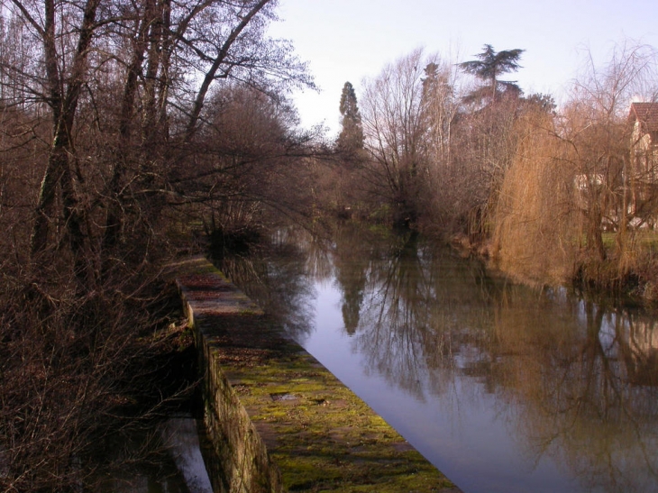 Vue de la Gélise à Poudenas