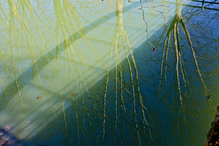 Canal latéral à la Garonne : Reflets. - Puch-d'Agenais