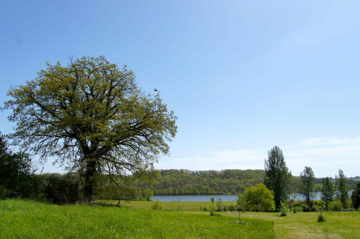 Aux alentours de Montseyrou. - Rayet