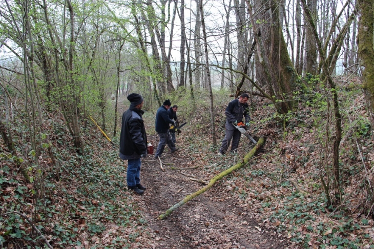 Une quinzaine de volontaires pour le nettoyage des beaux chemins de st aubin - Saint-Aubin