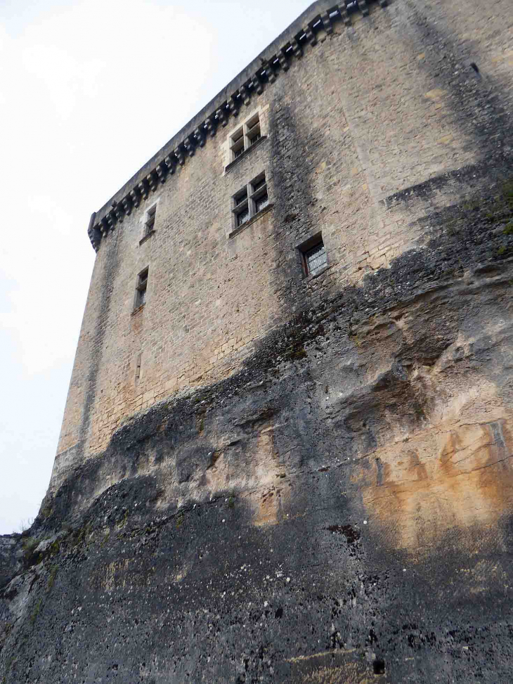 Le donjon - Saint-Front-sur-Lémance