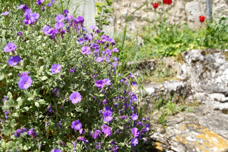 Les fleurs du village. - Saint-Martin-de-Villeréal