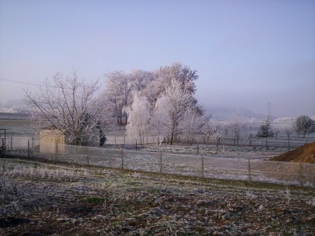 Saint-Pierre de Clairac frigorifié !!! - Saint-Pierre-de-Clairac