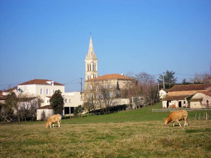 Prise de vue depuis la bordure du Lot - Saint-Sylvestre-sur-Lot