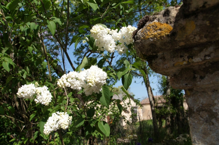 Dans le village. - Tourliac