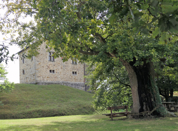 Camou : le château - Aïcirits-Camou-Suhast