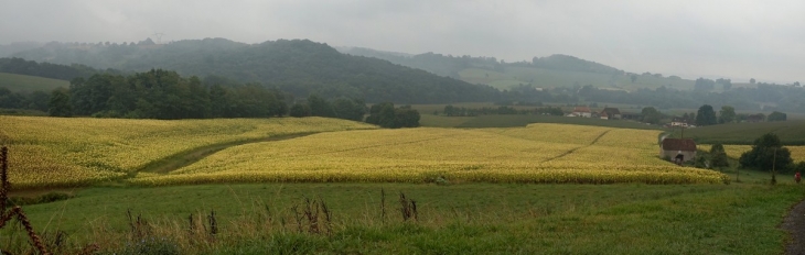 Nature - Arthez-de-Béarn