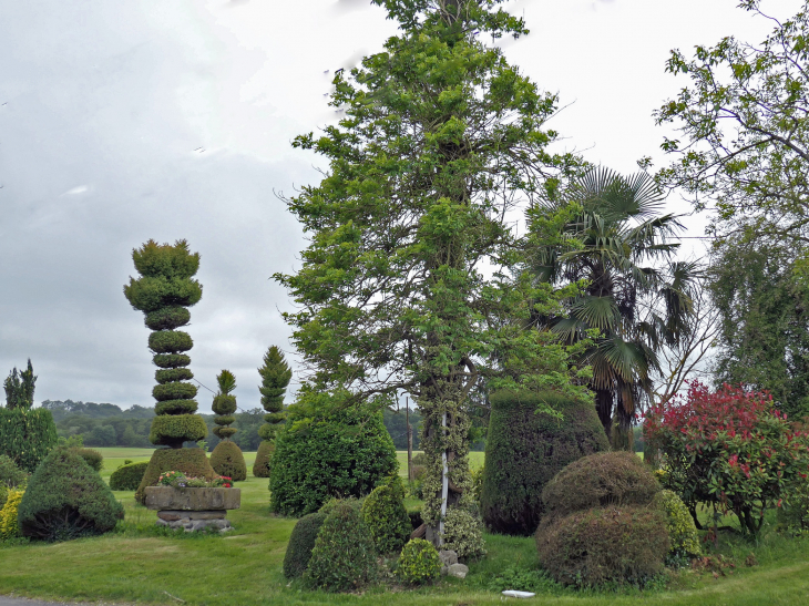 Cagnez : art topiaire - Arthez-de-Béarn