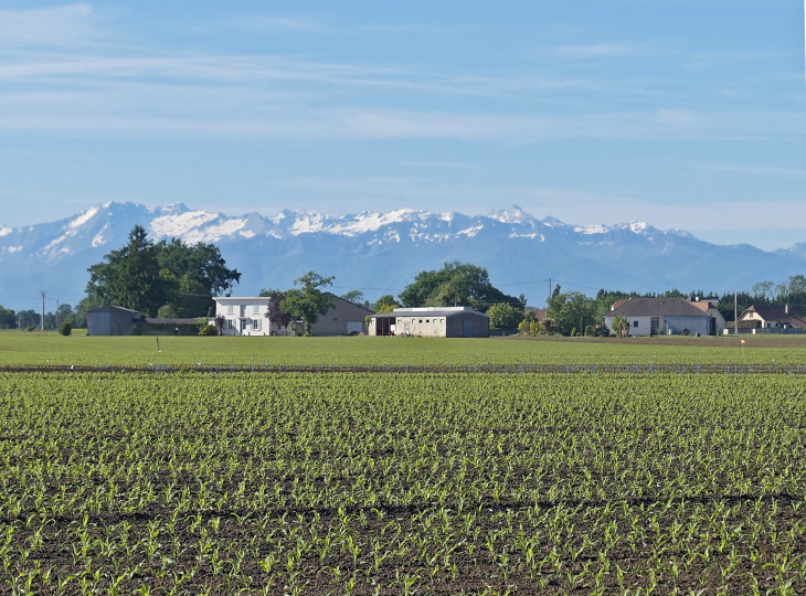 La vue sur les Pyrénées - Auriac