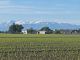 la vue sur les Pyrénées