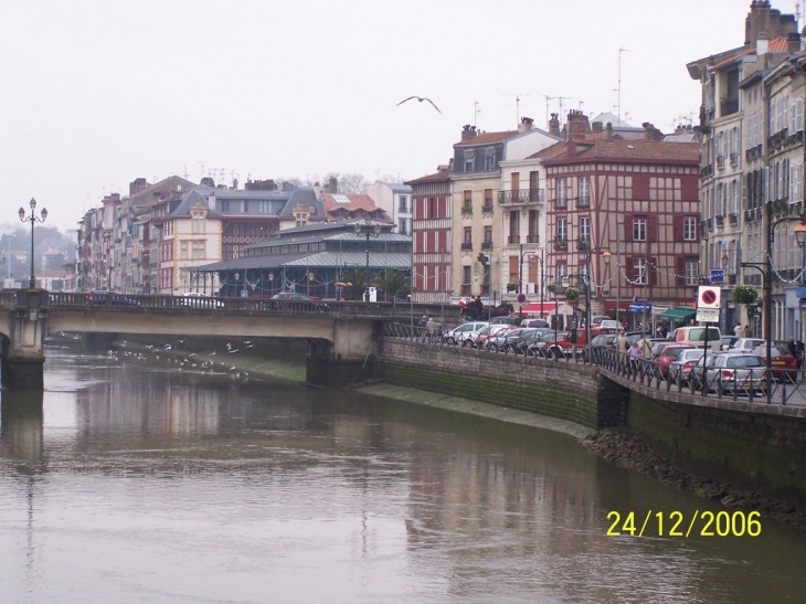 Les bords de la nive - Bayonne