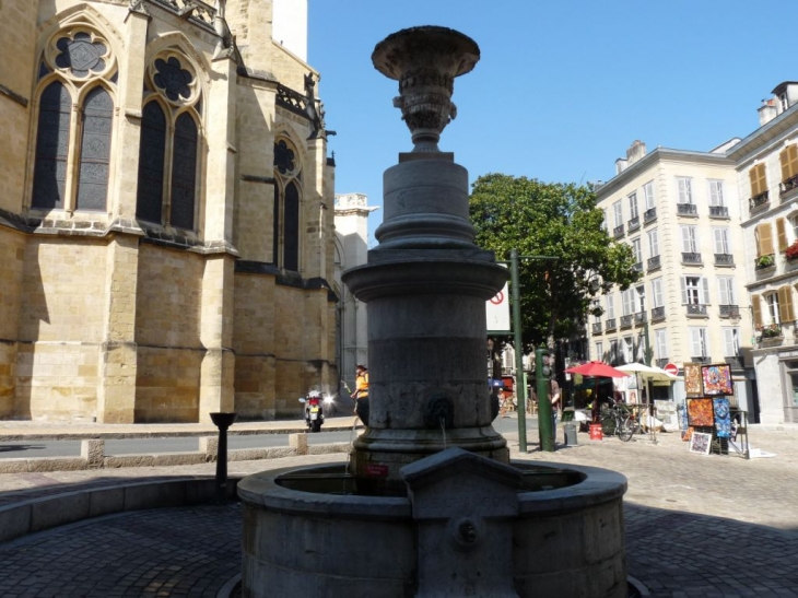 Pres de la cathédrale - Bayonne