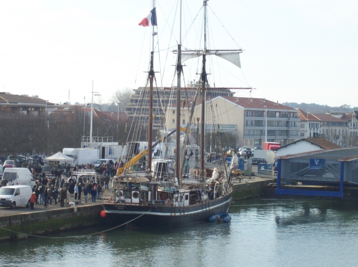 Thalassa 2012 Bayonne