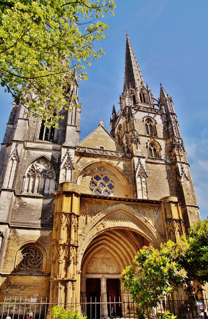 Cathédrale Sainte-Marie - Bayonne