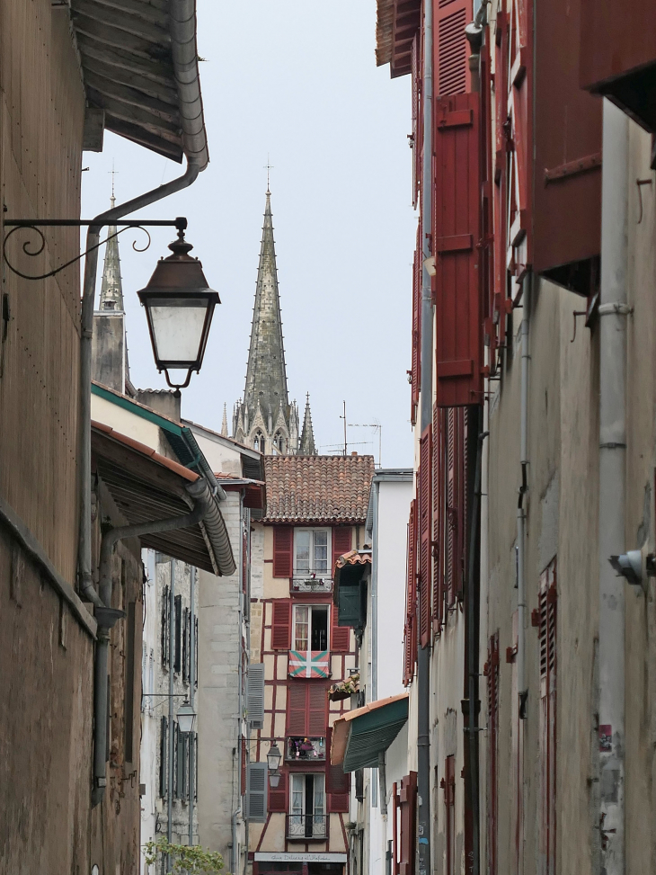 Les flèches de la cathédrale Sainte Marie vues du Petit Bayonne