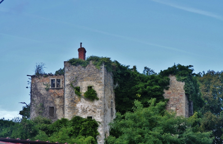 Ruines du Château  - Beyrie-sur-Joyeuse