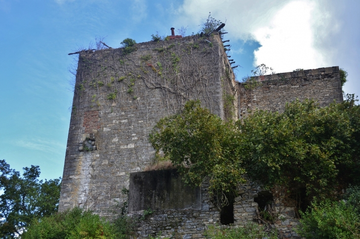 Ruines du Château  - Beyrie-sur-Joyeuse