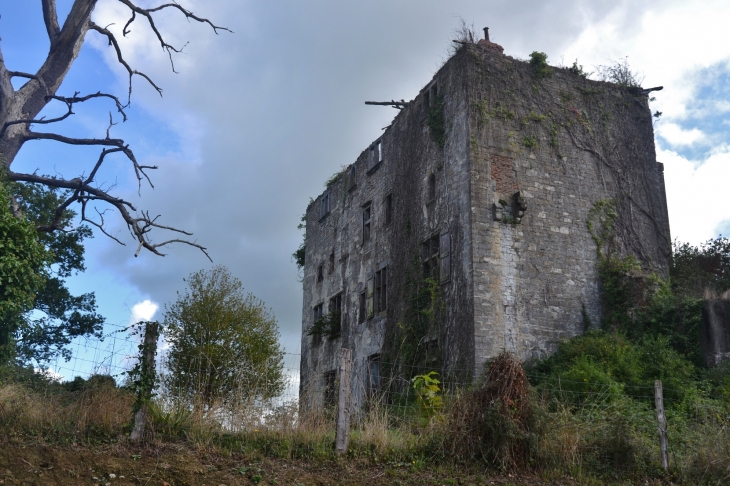 Ruines du Château  - Beyrie-sur-Joyeuse