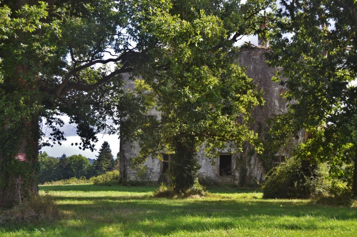 Ruines du Château  - Beyrie-sur-Joyeuse