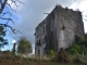 Ruines du Château 