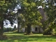 Ruines du Château 