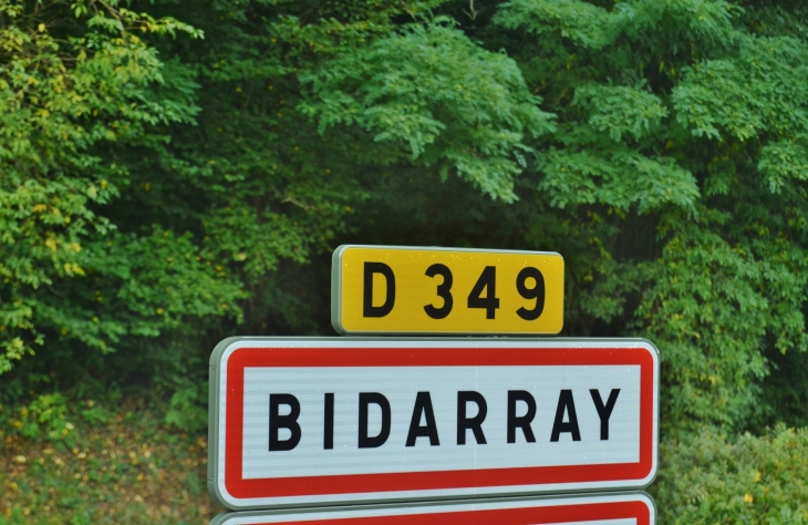  - Bidarray