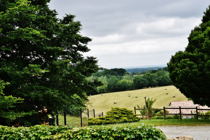 Campagne - Bonnut