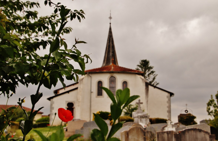 église saint Martin - Bonnut