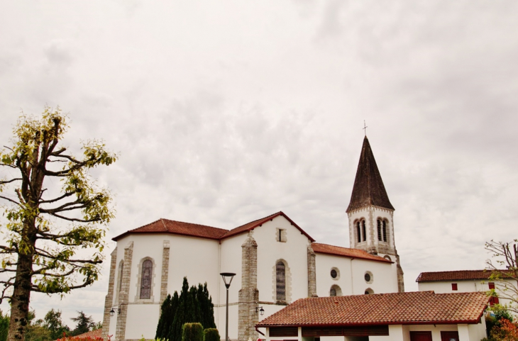 église Saint-Vincent - Briscous