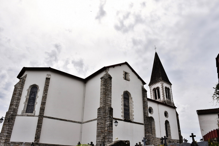 église Saint-Vincent - Briscous