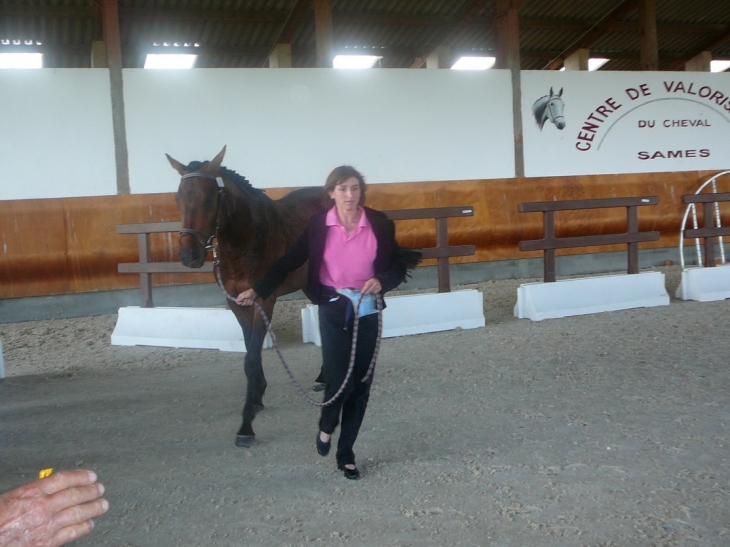 Cheval sauvé de la noyade lundi dernier grâce au personnel de la mairie de Buros