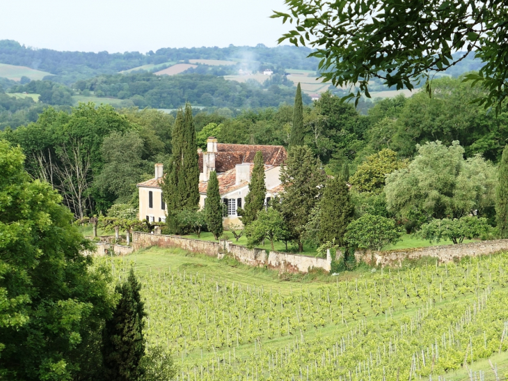 Le château domaine viticole - Cabidos