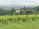 Photo précédente de Cabidos le château domaine viticole