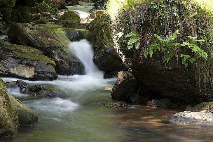 Cascade près du Pas de Roland à Ixtassou (64) - Cambo-les-Bains