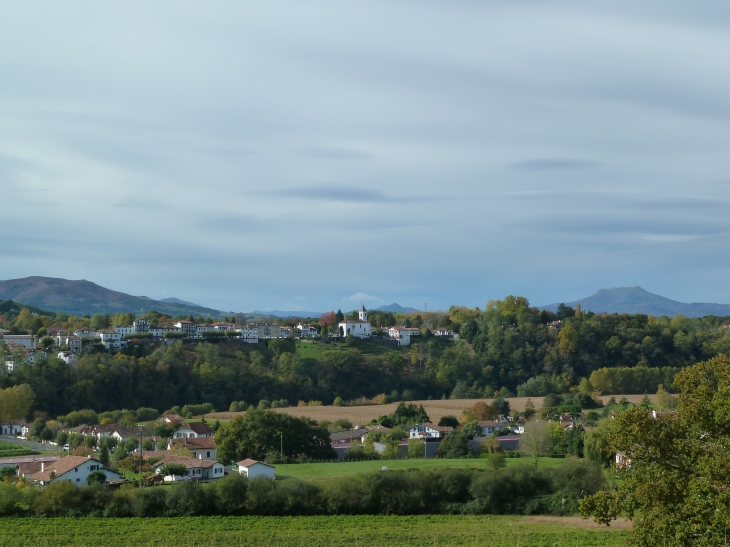 Vue générale. - Cambo-les-Bains