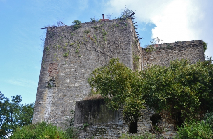 Ruines a Cambo-les-Bains