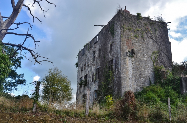 Ruines a Cambo-les-Bains