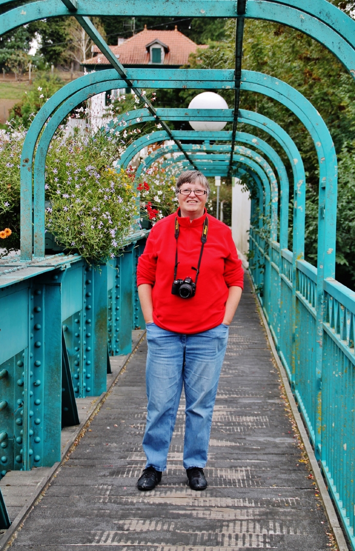 Pont sur la Nive - Cambo-les-Bains