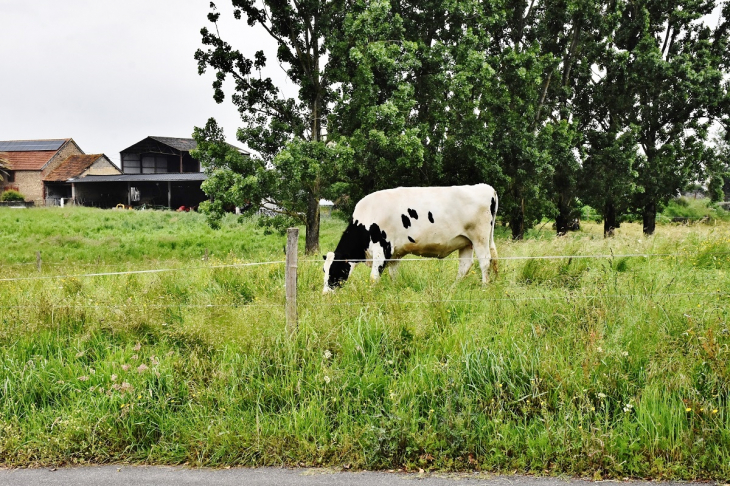 Patur - Coublucq