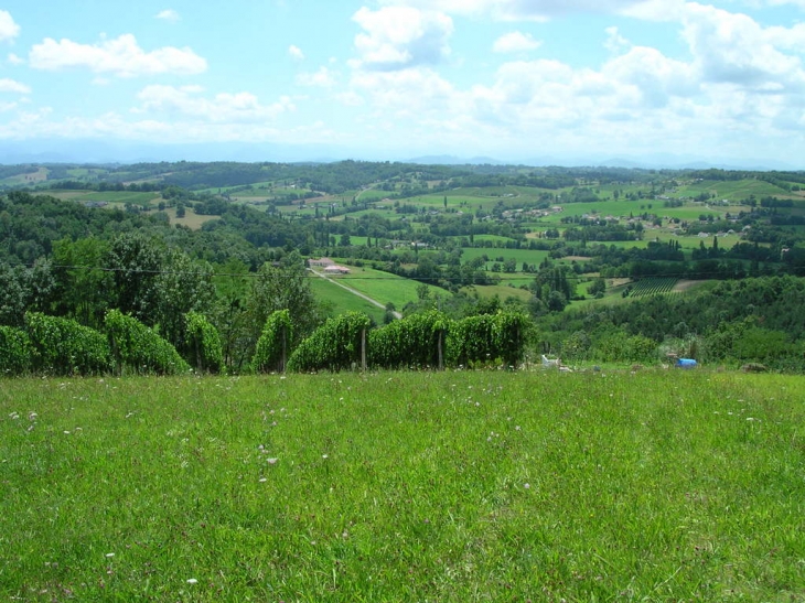 Point de vue sur coteaux Cuqueron