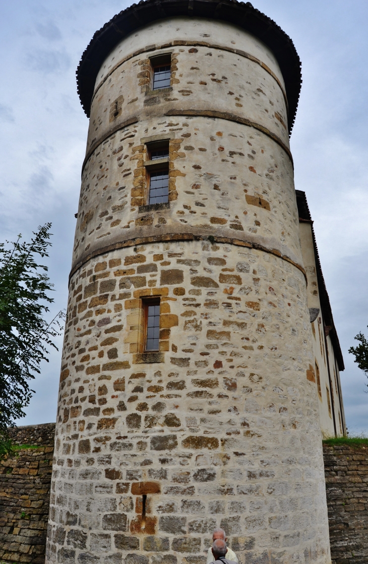 La Mairie ( ancien château des Barons d'Ezpeleta ) - Espelette